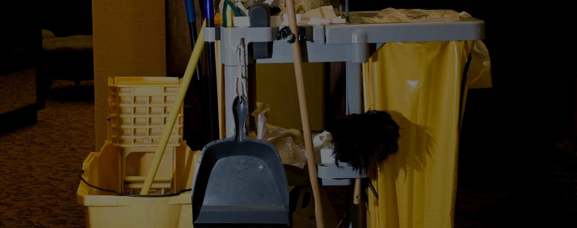 Professional Biohazard Cleanup In Michigan