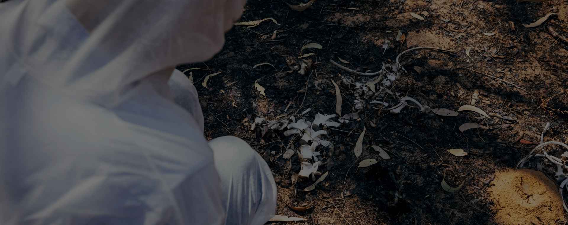 Forensic Cleaning Near Me